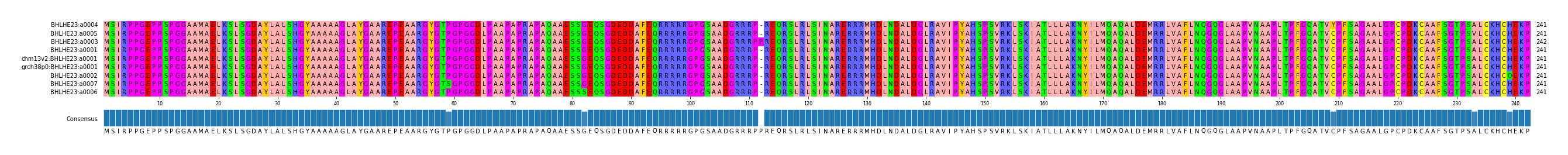 Multiple Alignments (by translate haplotype similarity)