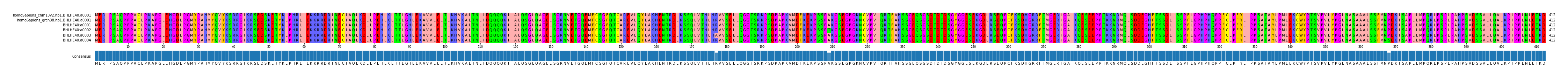 Multiple Alignments (by translate haplotype frequency)