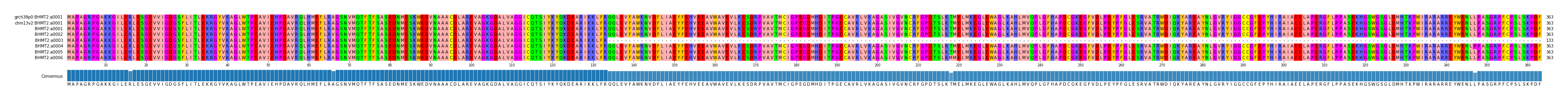 Multiple Alignments (by translate haplotype frequency)