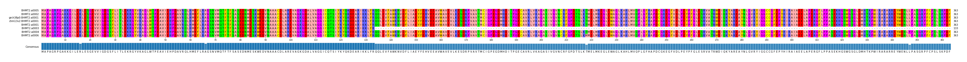 Multiple Alignments (by translate haplotype similarity)