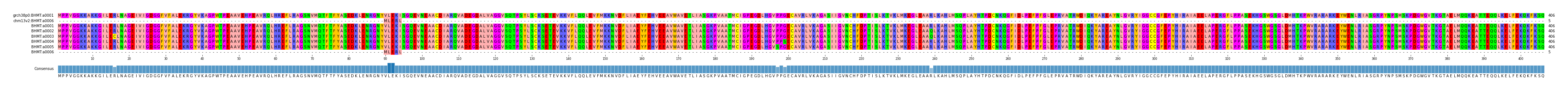 Multiple Alignments (by translate haplotype frequency)