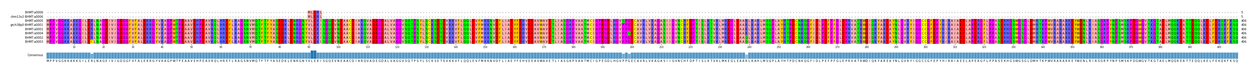 Multiple Alignments (by translate haplotype similarity)