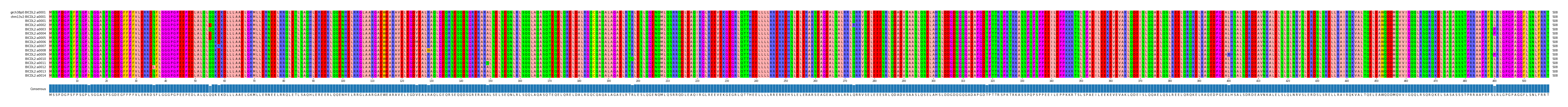 Multiple Alignments (by translate haplotype frequency)