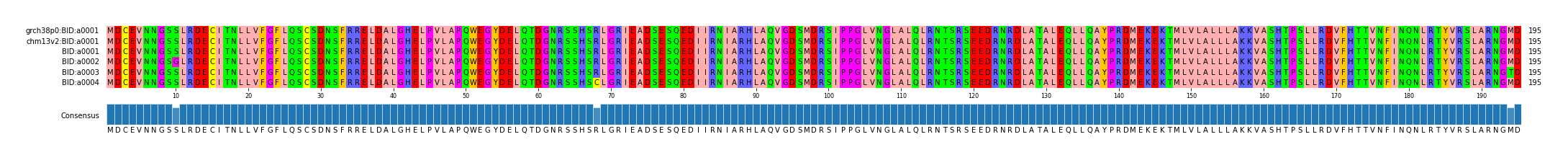 Multiple Alignments (by translate haplotype frequency)