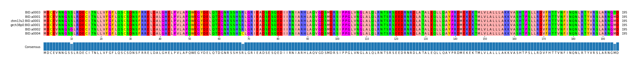 Multiple Alignments (by translate haplotype similarity)