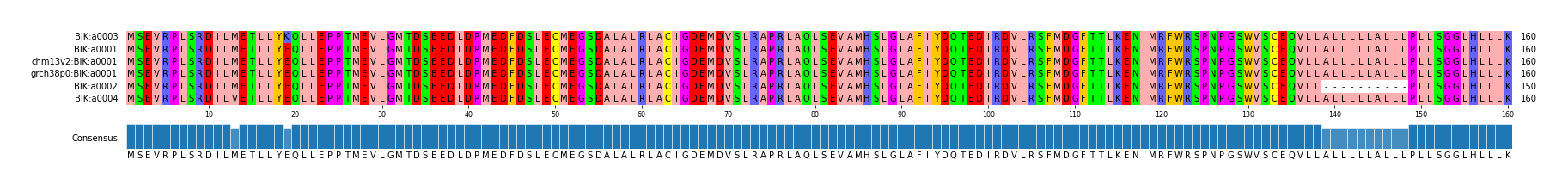 Multiple Alignments (by translate haplotype similarity)