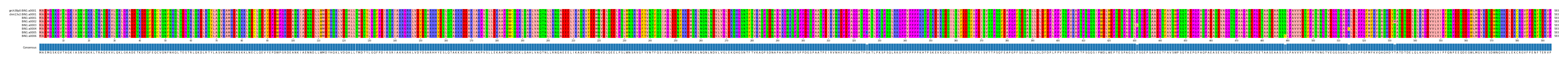 Multiple Alignments (by translate haplotype frequency)