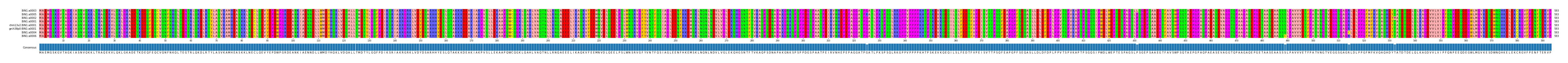 Multiple Alignments (by translate haplotype similarity)
