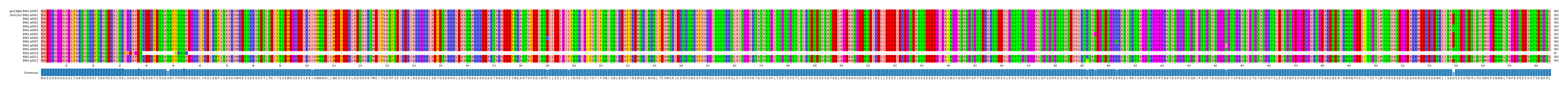 Multiple Alignments (by translate haplotype frequency)