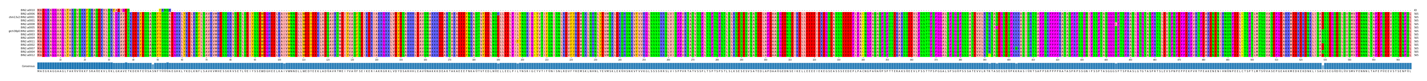 Multiple Alignments (by translate haplotype similarity)