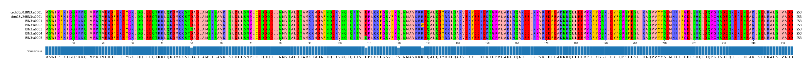 Multiple Alignments (by translate haplotype frequency)