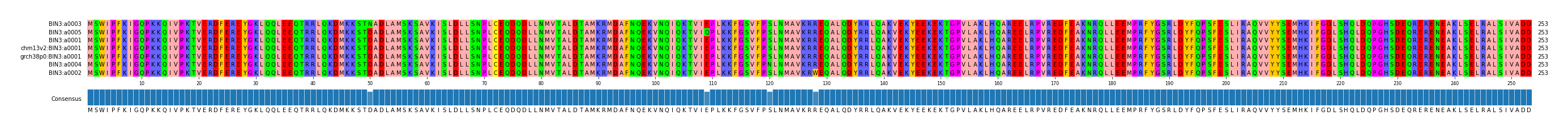 Multiple Alignments (by translate haplotype similarity)