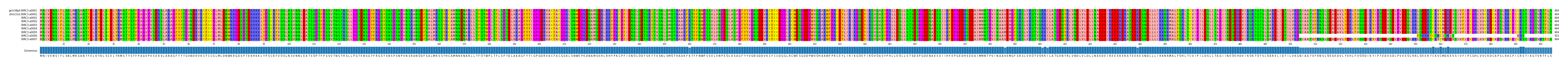 Multiple Alignments (by translate haplotype frequency)