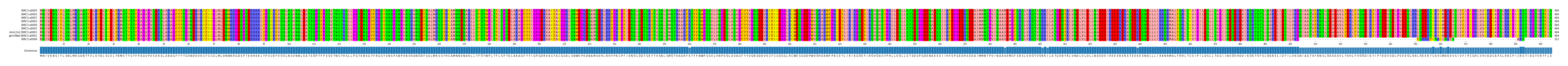 Multiple Alignments (by translate haplotype similarity)