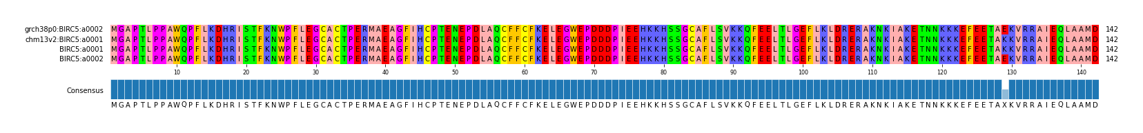 Multiple Alignments (by translate haplotype frequency)
