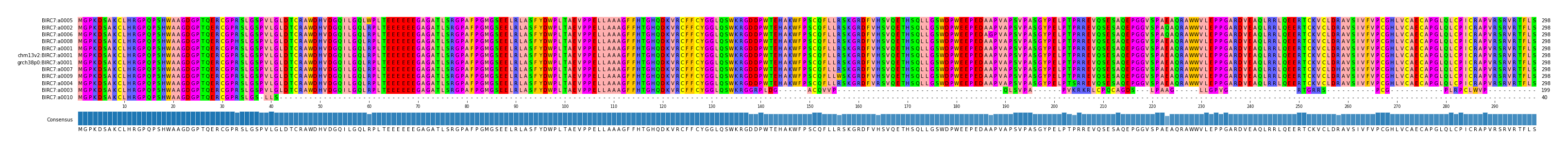Multiple Alignments (by translate haplotype similarity)