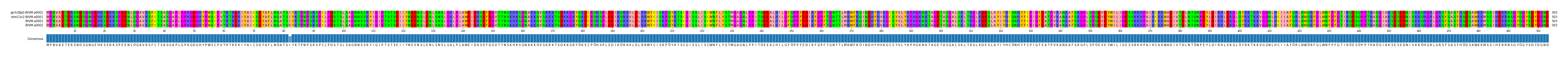 Multiple Alignments (by translate haplotype similarity)