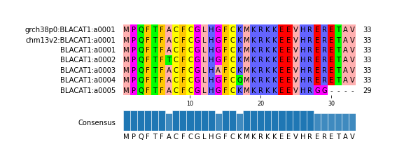 Multiple Alignments (by translate haplotype frequency)