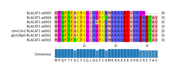 Multiple Alignments (by translate haplotype similarity)