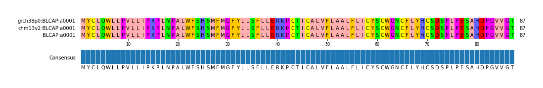 Multiple Alignments (by translate haplotype similarity)