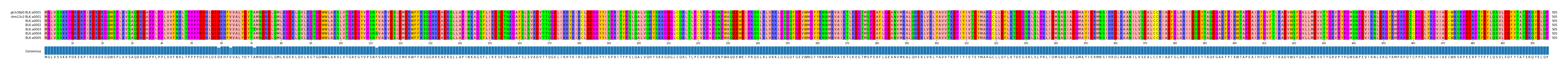 Multiple Alignments (by translate haplotype frequency)