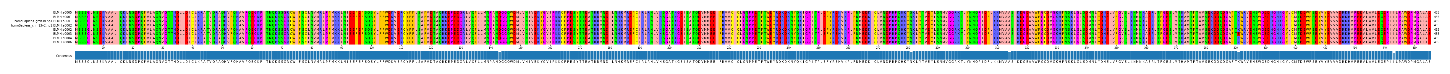 Multiple Alignments (by translate haplotype similarity)