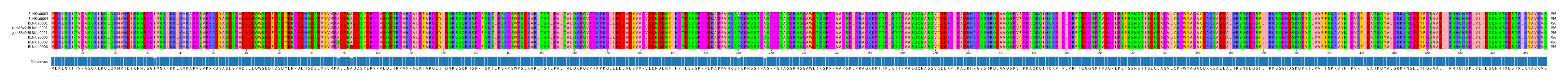 Multiple Alignments (by translate haplotype similarity)
