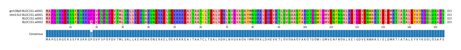 Multiple Alignments (by translate haplotype similarity)