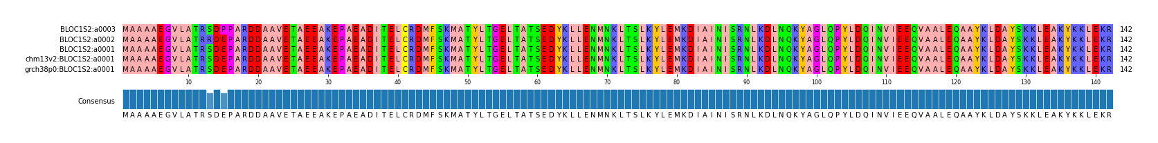Multiple Alignments (by translate haplotype similarity)