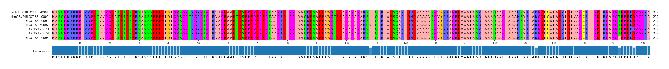 Multiple Alignments (by translate haplotype frequency)