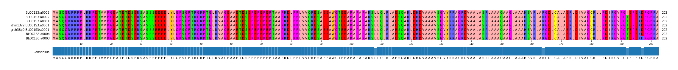 Multiple Alignments (by translate haplotype similarity)