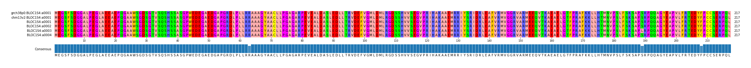 Multiple Alignments (by translate haplotype frequency)