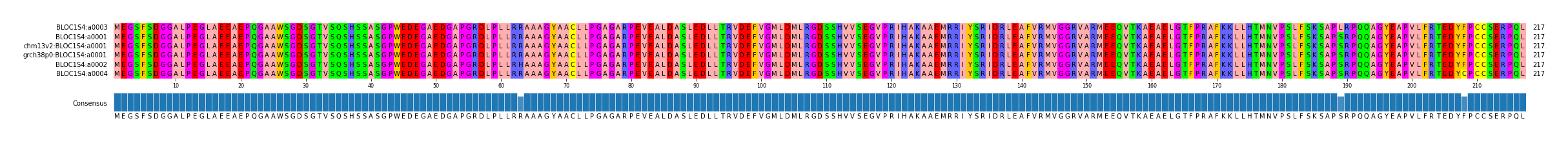 Multiple Alignments (by translate haplotype similarity)