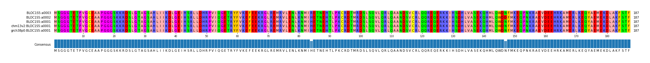 Multiple Alignments (by translate haplotype similarity)