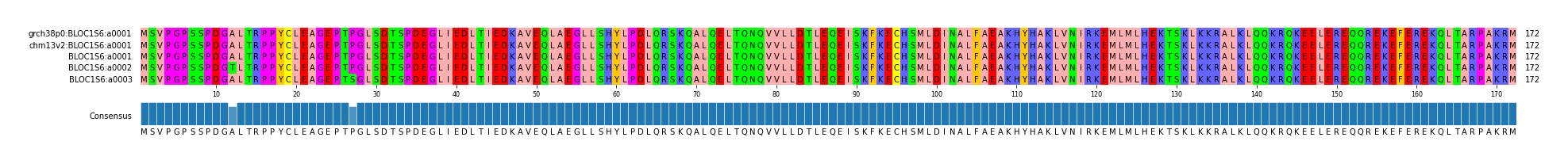 Multiple Alignments (by translate haplotype frequency)