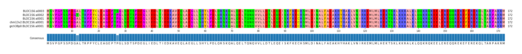 Multiple Alignments (by translate haplotype similarity)