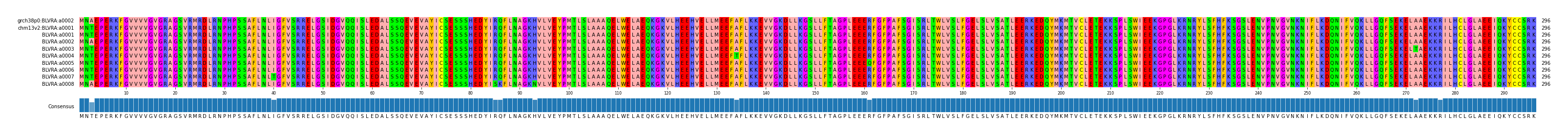 Multiple Alignments (by translate haplotype frequency)