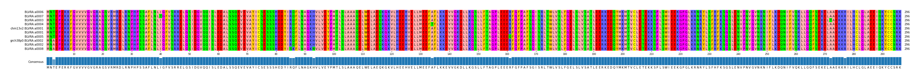 Multiple Alignments (by translate haplotype similarity)
