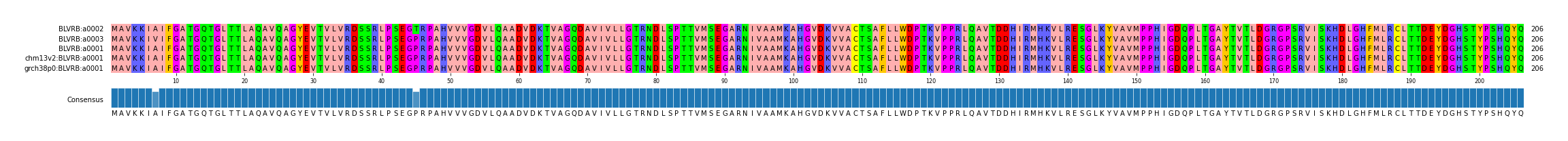 Multiple Alignments (by translate haplotype similarity)