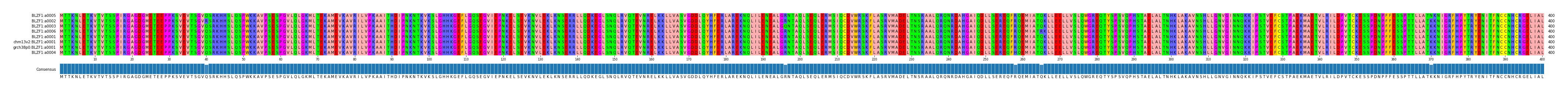 Multiple Alignments (by translate haplotype similarity)