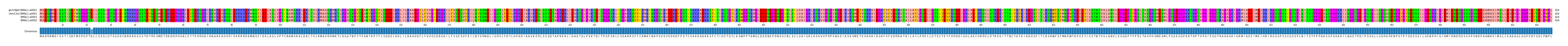 Multiple Alignments (by translate haplotype similarity)