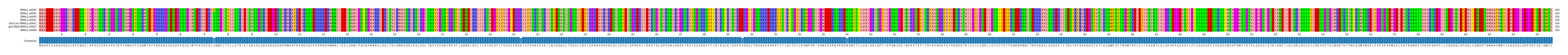 Multiple Alignments (by translate haplotype similarity)