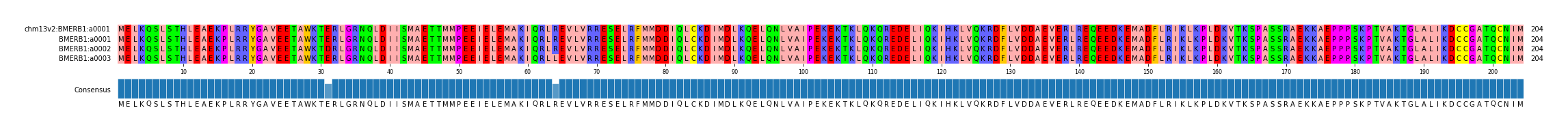 Multiple Alignments (by translate haplotype frequency)