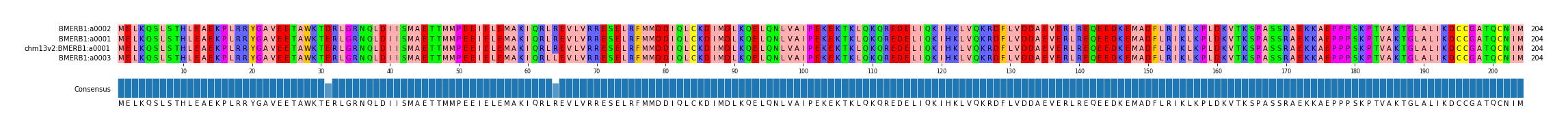 Multiple Alignments (by translate haplotype similarity)