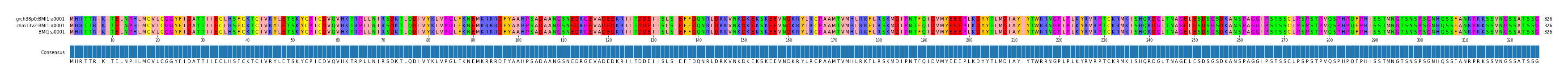 Multiple Alignments (by translate haplotype similarity)