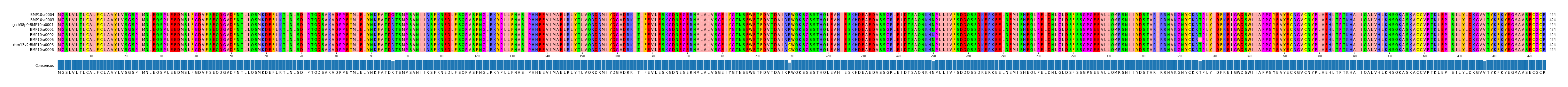 Multiple Alignments (by translate haplotype similarity)