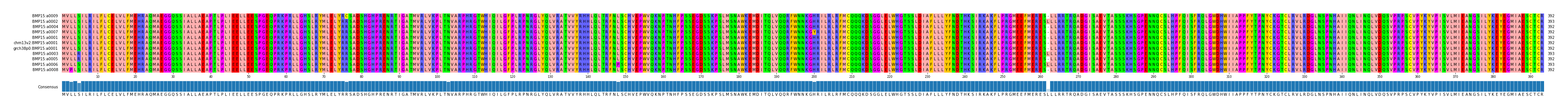 Multiple Alignments (by translate haplotype similarity)
