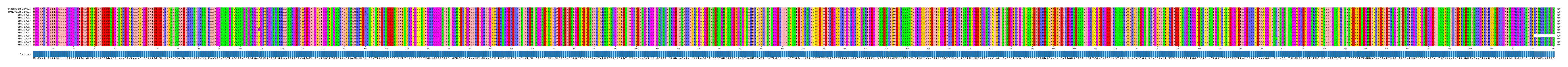 Multiple Alignments (by translate haplotype frequency)