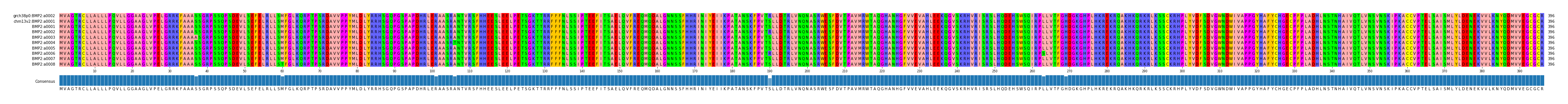 Multiple Alignments (by translate haplotype frequency)