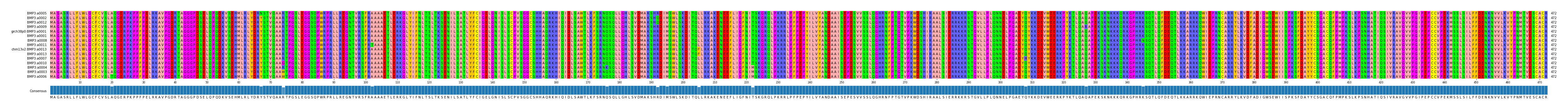 Multiple Alignments (by translate haplotype similarity)